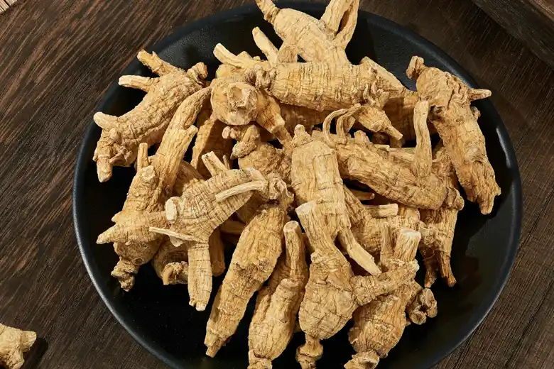 Koren ginsenga u prahu